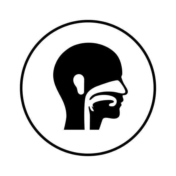 categories-icon-1